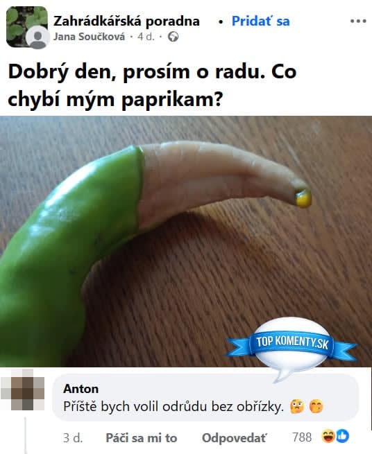 Zelená paprika s deformovaným koncom, otázka v príspevku žiada radu na pestovanie papriky.