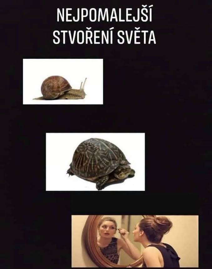 Vtipný obrázok porovnávajúci rýchlosť slimáka, korytnačky a ženy pri líčení v zrkadle.