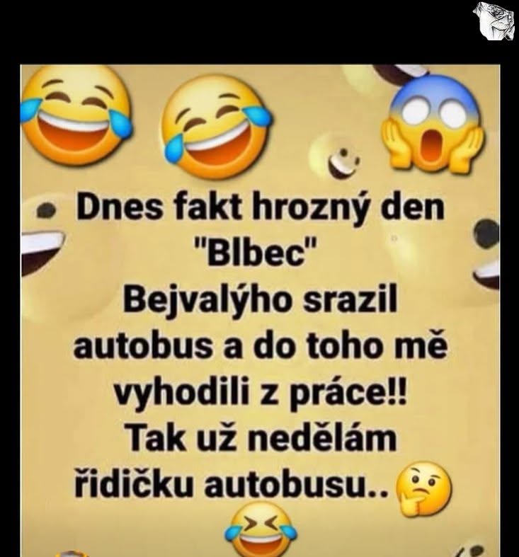 Text na obrázku s emodži vyjadruje iróniu z ťažkého dňa a prepustenia z práce vodičky autobusu.