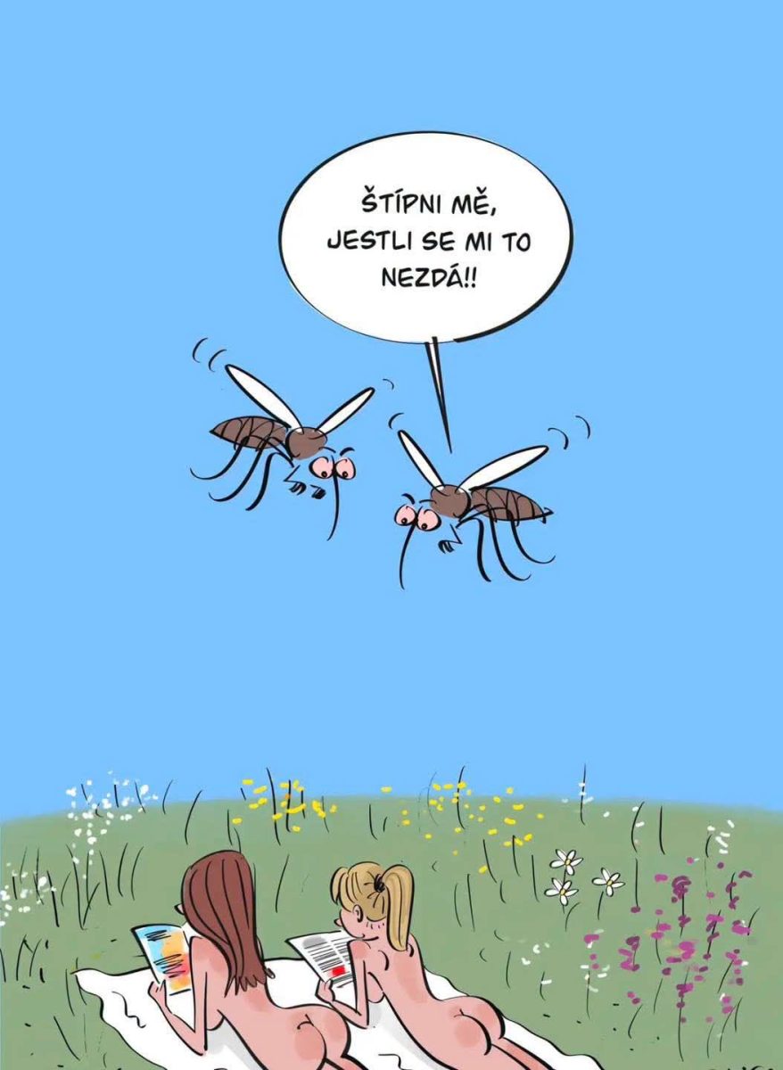 Dve ženy opaľujúce sa na lúke so zvedavými komármi, ktorí diskutujú o tom, či sa im to nesníva.
