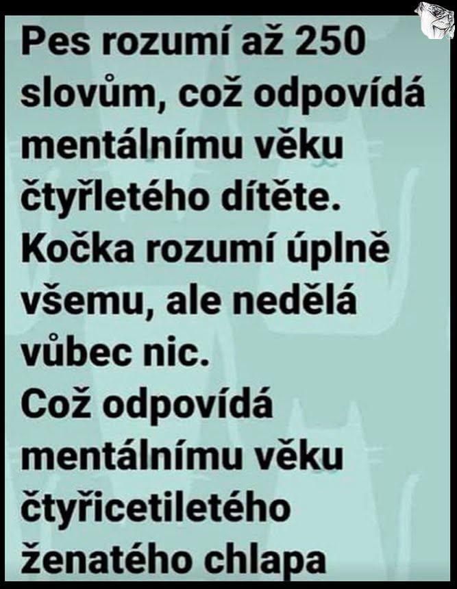 Pes rozumie 250 slovám ako dieťa, mačka všetko chápe, ale nič nerobí, ako štyridsaťročný ženatý muž.