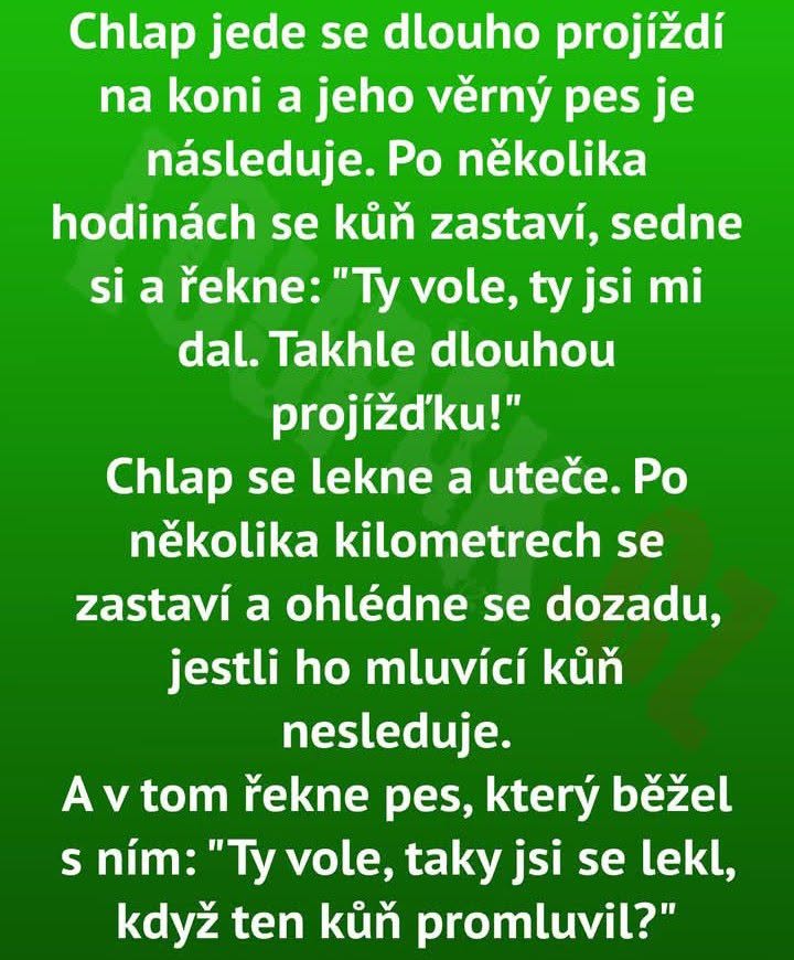 Obrázok s vtipným príbehom o jazdcovi, hovoriacom koni a prekvapenom psovi na zelenej pozadí.