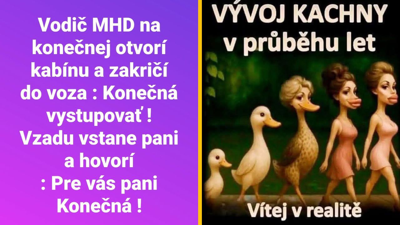 Vtipný obrázok s textom o konečnej zastávke vodiča MHD a ilustrácia vývoja kačky s ľudskými rysmi.