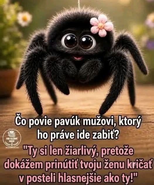 Roztomilý pavúk s kvetom na hlave prehovára humorným textom v slovenskom jazyku.