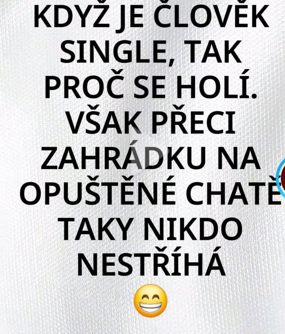 Vtipná úvaha: Prečo sa o seba starať, keď človek žije ako opustená chata bez záhrady? 😄