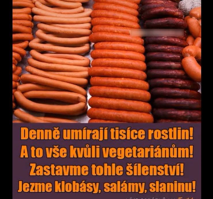 Klobásy, salámy a slanina vystavené v rade s provokatívnym textom o vegetariánstve.