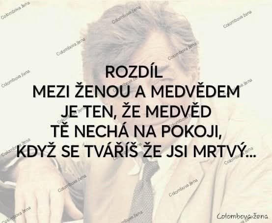 Obrázok muža s vtipným citátom o ženách a medveďoch v češtine na bledom pozadí.