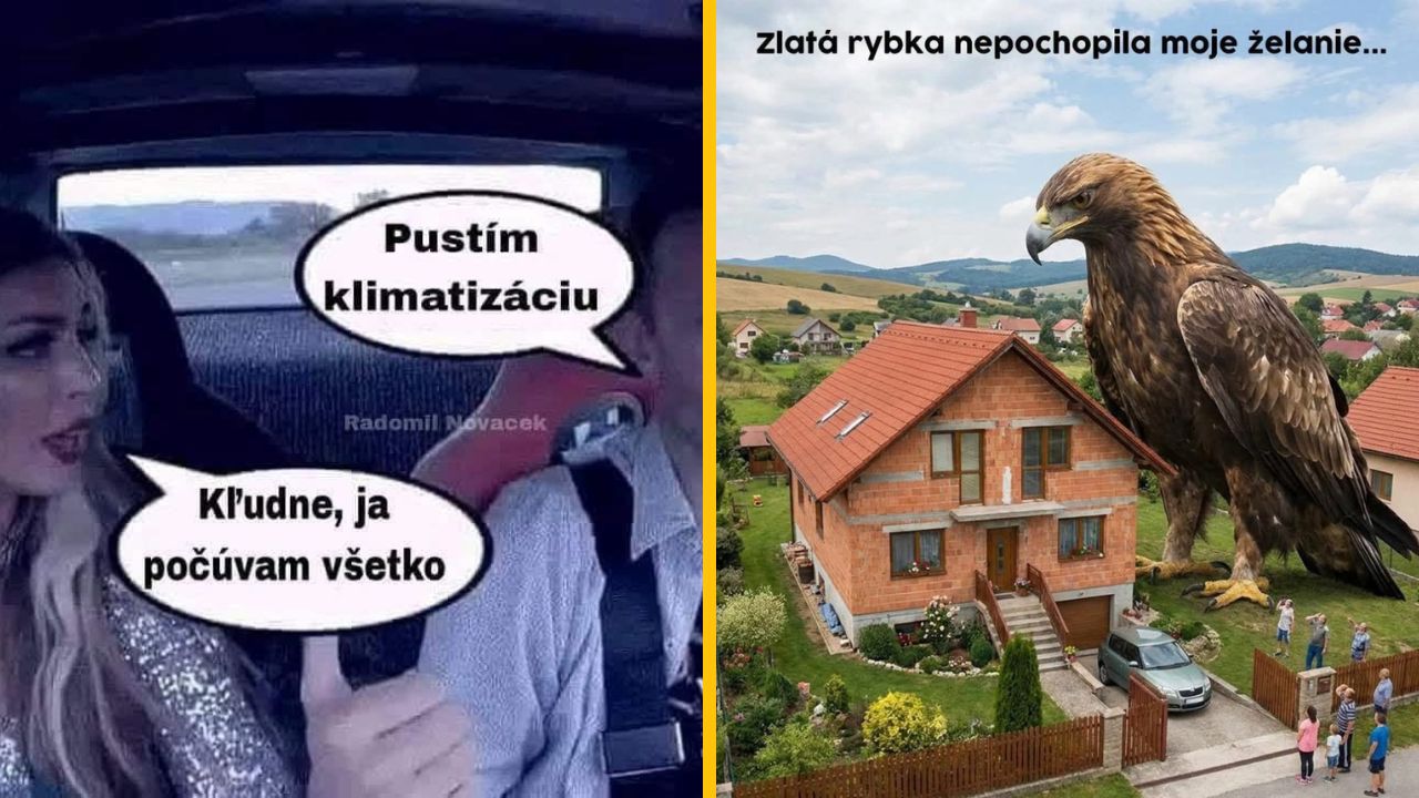 Žena a muž v aute žartujú o klimatizácii; obrí orol stojí vedľa domu s nápisom „Zlatá rybka nepochopila moje želanie.“