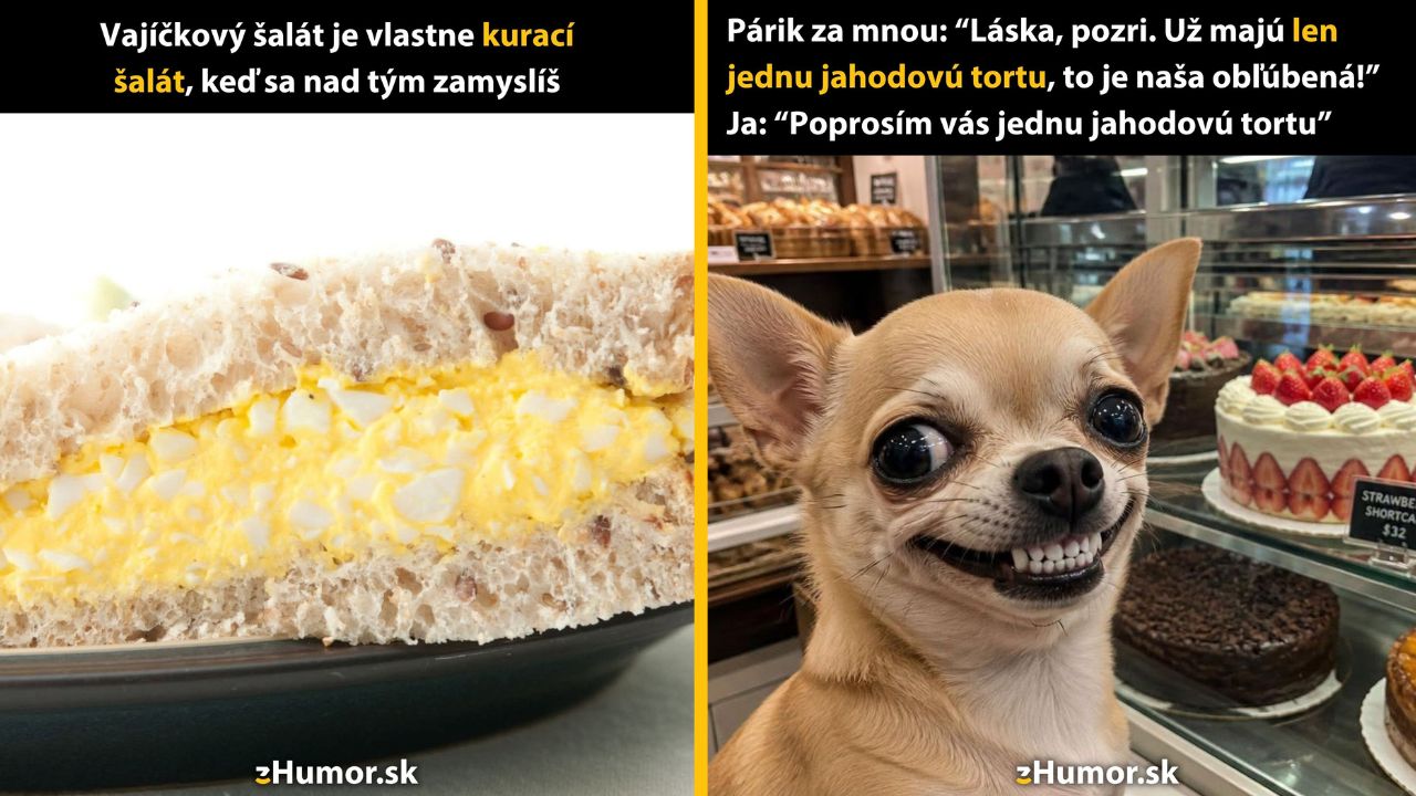 Vtipný obrázok: pes pri vitrine s tortami a vtip s vajíčkovým šalátom ako kuracím šalátom.