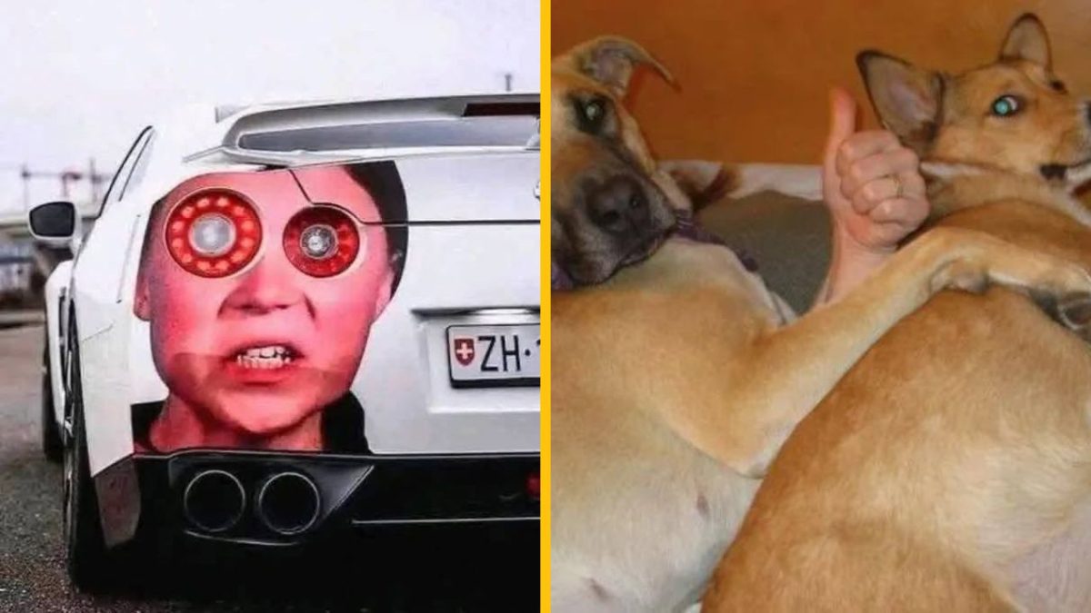 Auto s tvárou na zadnej časti a psi objímajúci sa na gauči so zdvihnutým palcom na pozadí.