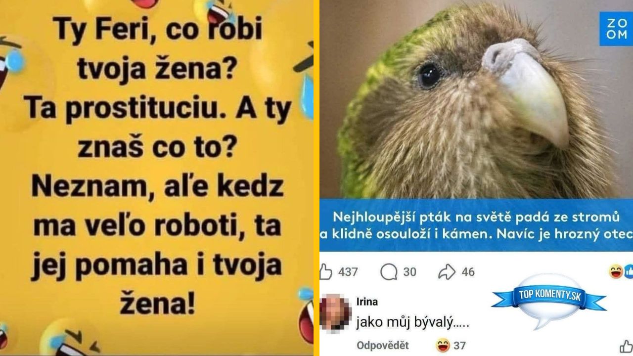 Vtipný text o pomoci manželke s prácou a vtákovi, ktorý padá zo stromov a porovnávanie s bývalým partnerom.