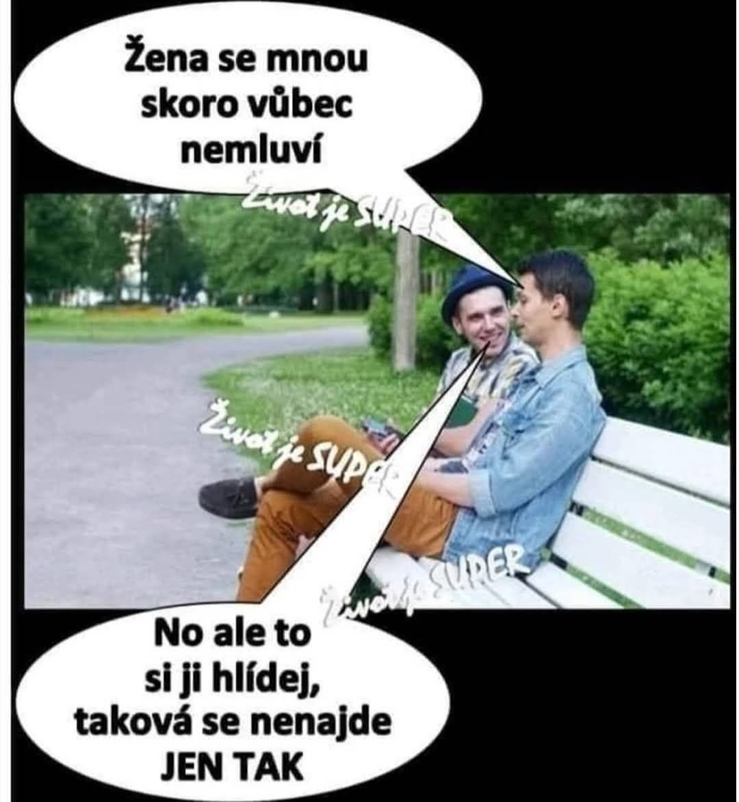 Dvaja muži na lavičke v parku diskutujú o vzťahoch s vtipným textom v bublinách.