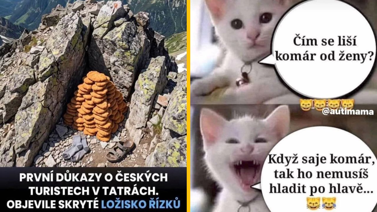 Hromada rezňov na horách a vtipné mačky s bublinkovým textom o komároch a ženách.