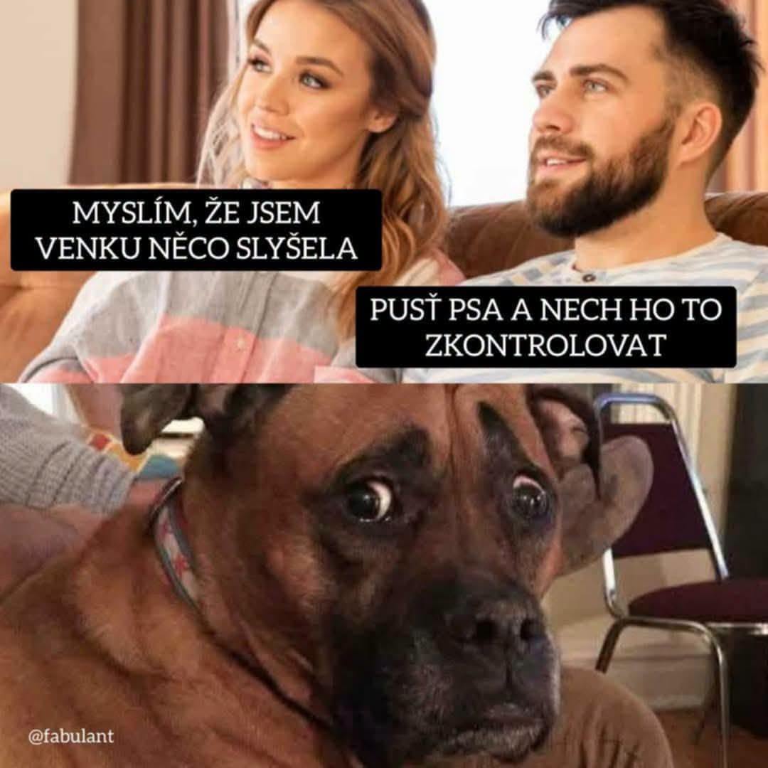 Žena hovorí mužovi, že niečo počula vonku. Pes s vystrašeným výrazom je požiadaný, aby to išiel preskúmať.