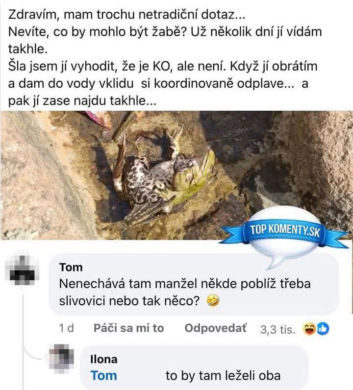 Žaba leží na chrbte pri potoku, nad ňou sú humorné komentáre k situácii.
