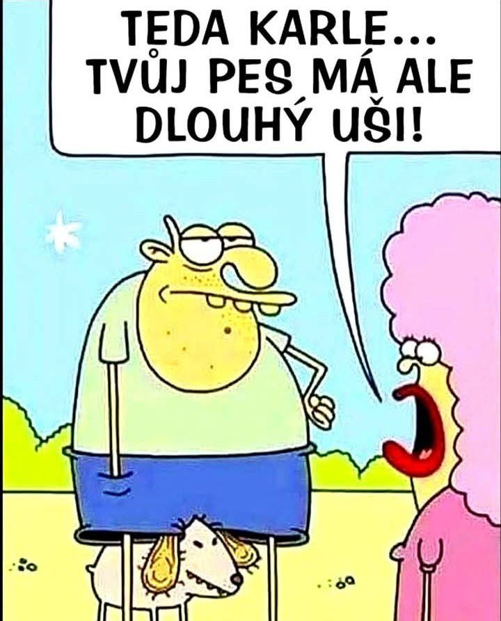 Karikatúra muža so psom s dlhými ušami a ženy komentujúcej jeho vzhľad v češtine.