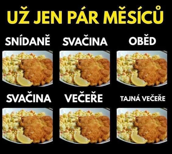 Každodenný jedálniček: Rezeň s prílohou podávaný na raňajky, obed, večeru a ďalšie jedlá. Text: Už jen pár měsíců.