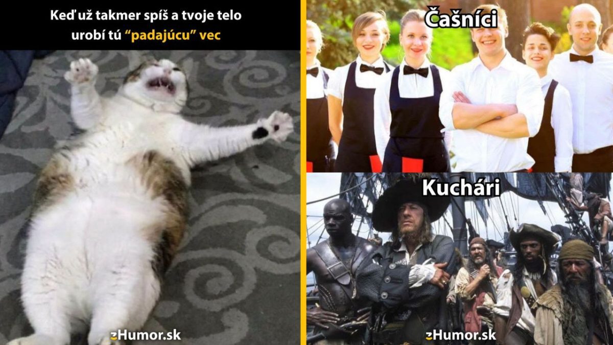 Meme s mačkou a dvoma skupinami, čašníci a kuchári, porovnanie zábavy a chaosu.