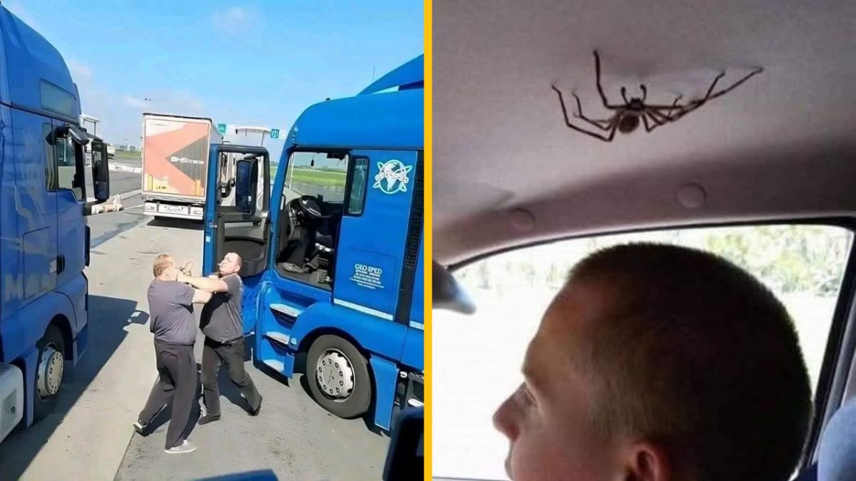 Dve fotografie: na jednej sa bijú dvaja muži pri kamiónoch, na druhej muž v aute so stropným pavúkom.