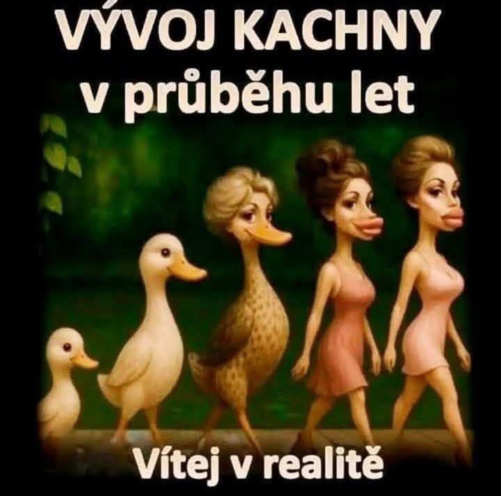 Ilustrácia evolúcie kačiek do podoby žien s veľkými perami; humorné zobrazenie zmien v priebehu rokov.