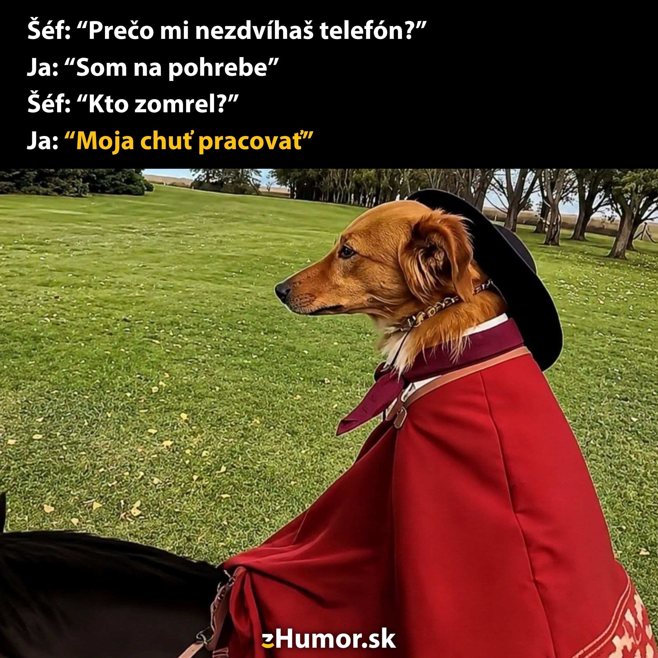 Pes v klobúku na koni s humorným textom o práci a chuti k práci na pohrebe.