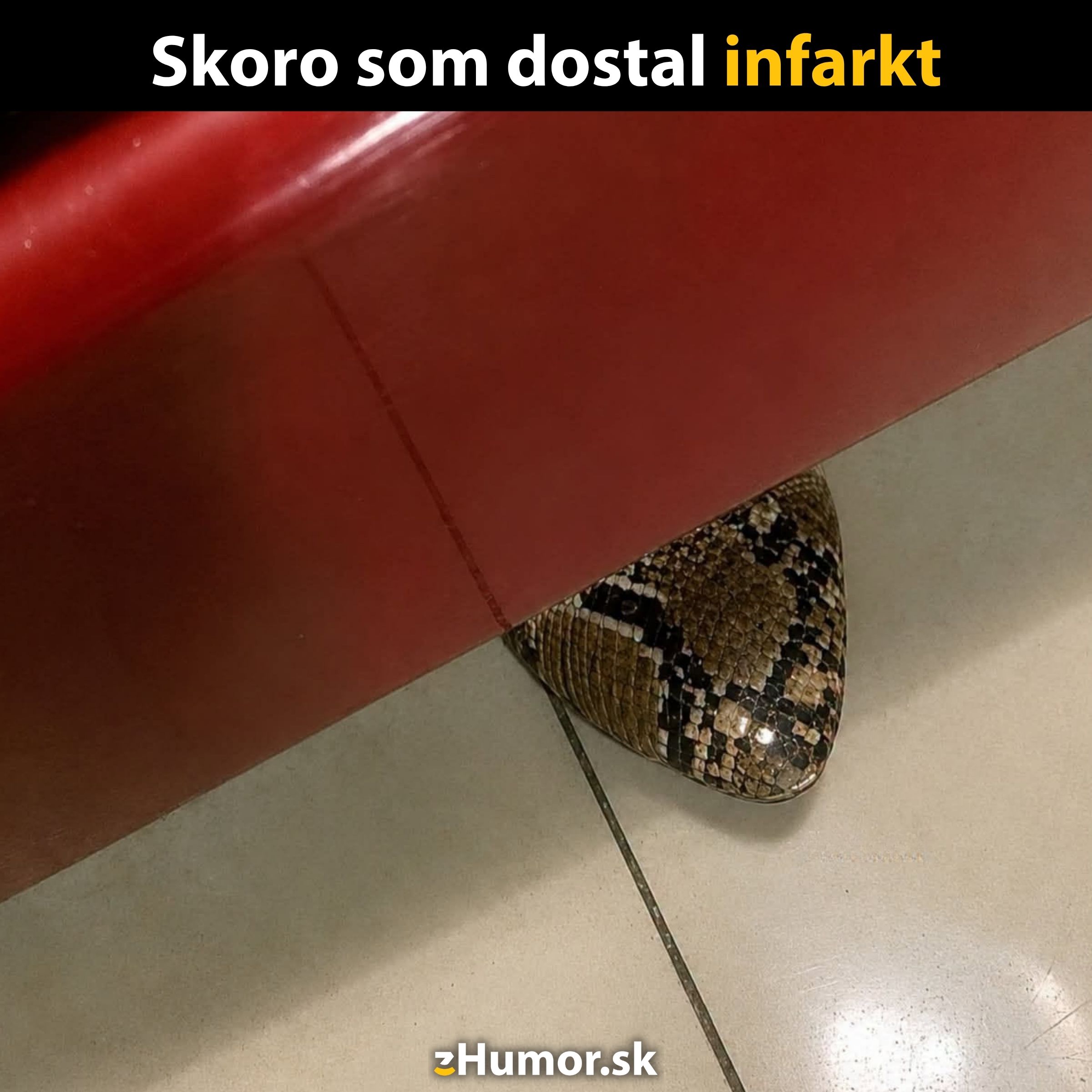 Had vykúkajúci spod pohovky, vyzerá ako hlava, vytvára ilúziu neočakávaného prekvapenia.