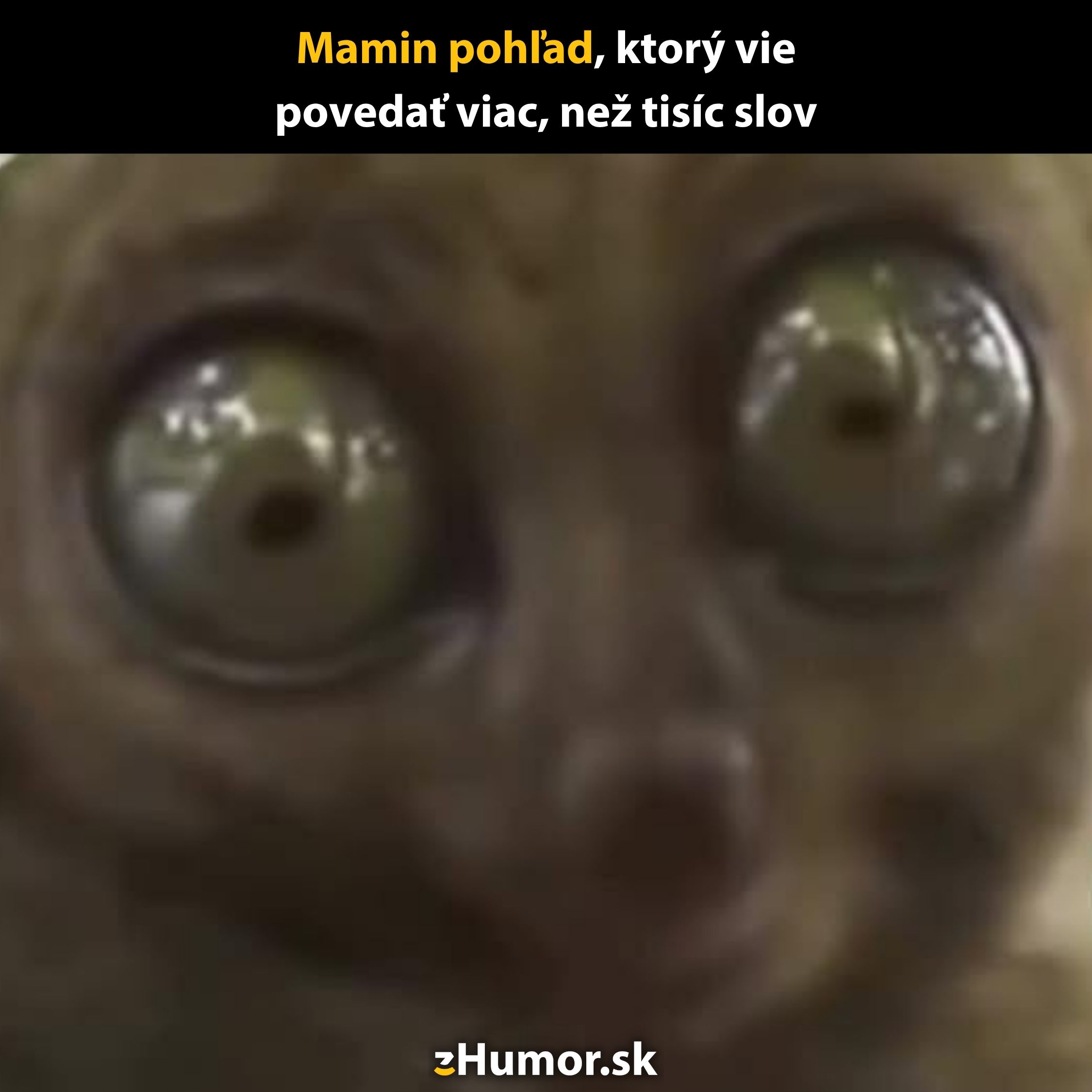 Zvieracia tvár s veľkými očami vyjadruje prekvapenie, nadpis hovorí „Mamin pohľad, ktorý vie povedať viac než tisíc slov“.