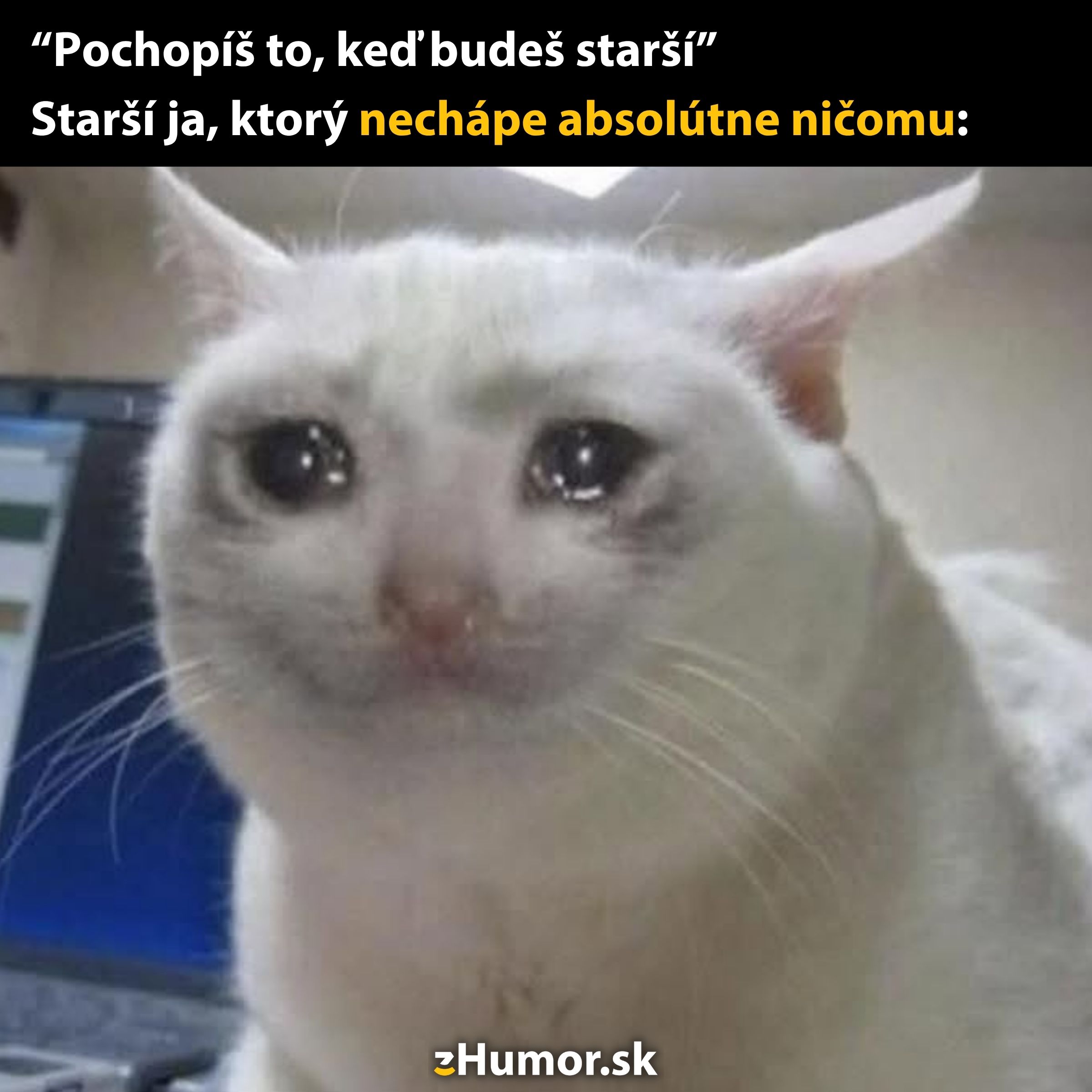 Smiešna mačka s nápisom: Pochopíš to, keď budeš starší a Starší ja, ktorý nechápe ničomu.