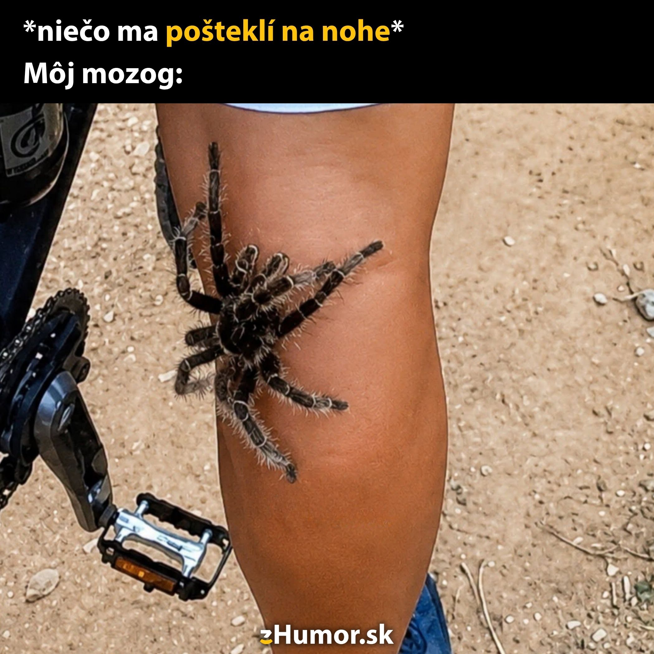 Cyklista s prekvapením, keď na jeho nohe lezie veľký pavúk, zachytený počas jazdy na bicykli.