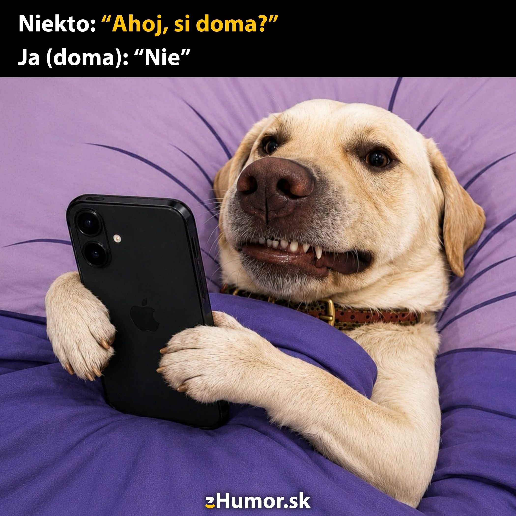Pes s telefónom v paprčkách leží v posteli a text odpovedá vtipne na otázku, či je doma.