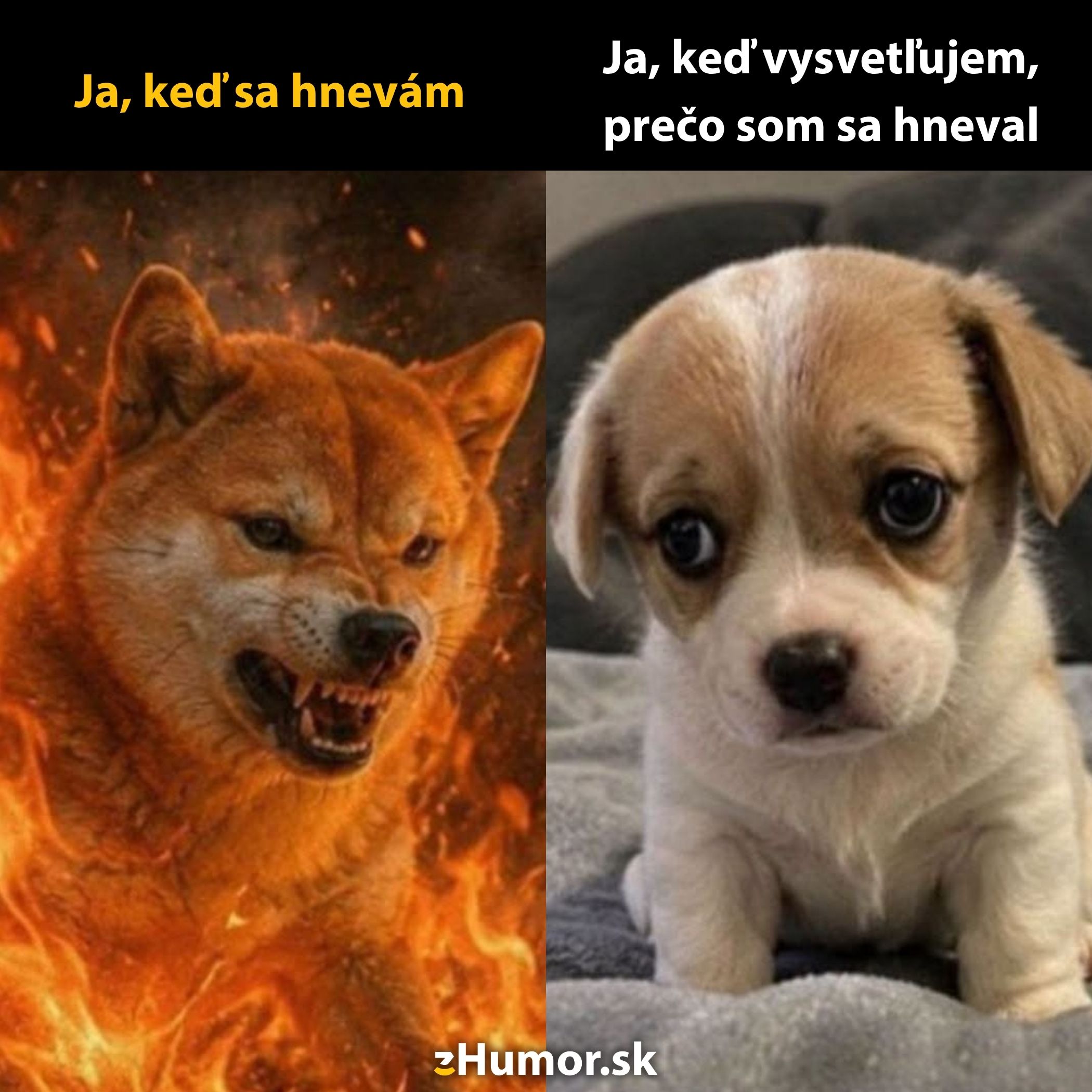 Nahnevaný pes v plameňoch kontra nevinné šteniatko – kontrast emócií v žartovnom meme.
