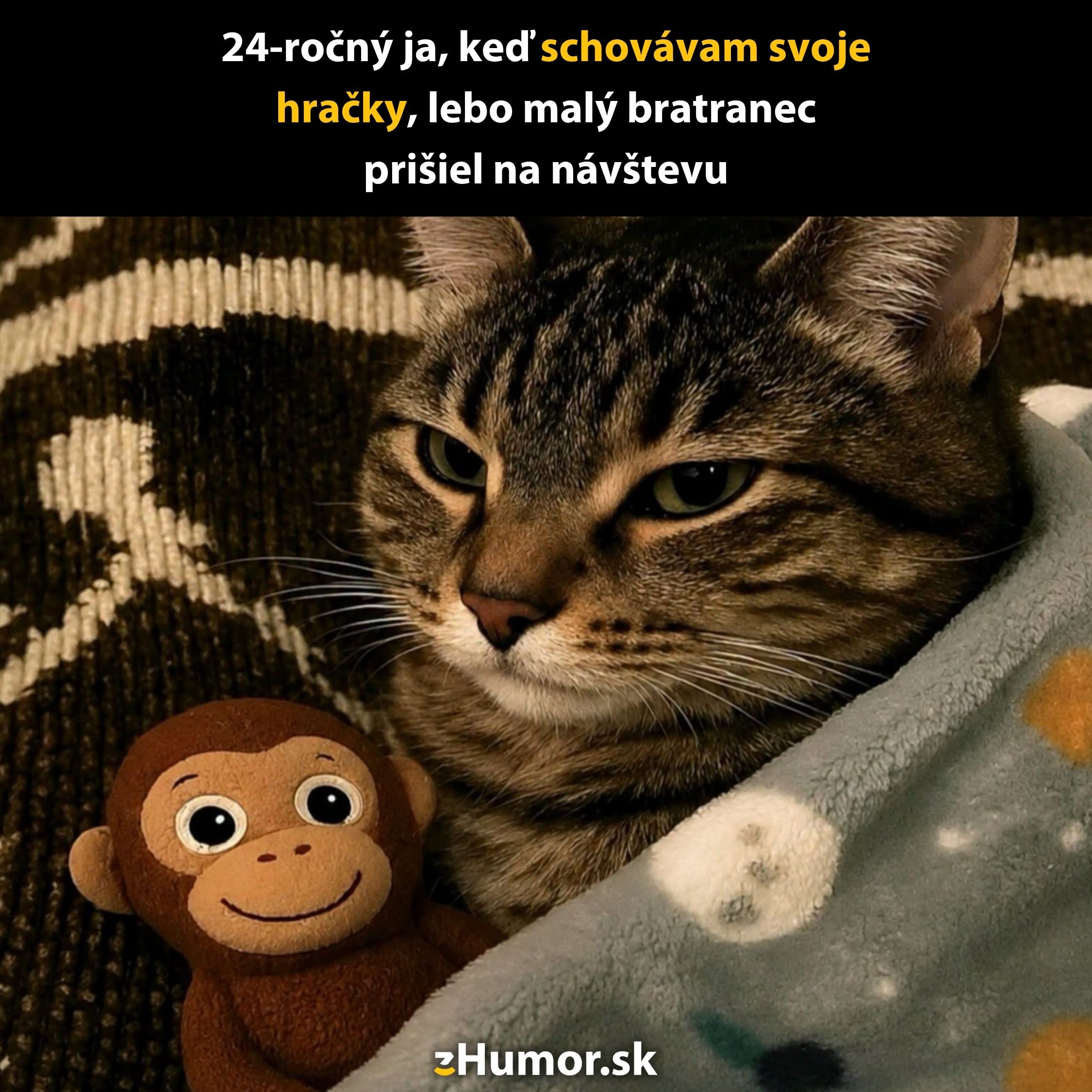 Mačka leží pod dekou vedľa plyšovej opice, tvári sa vážne a odpočíva na gauči.
