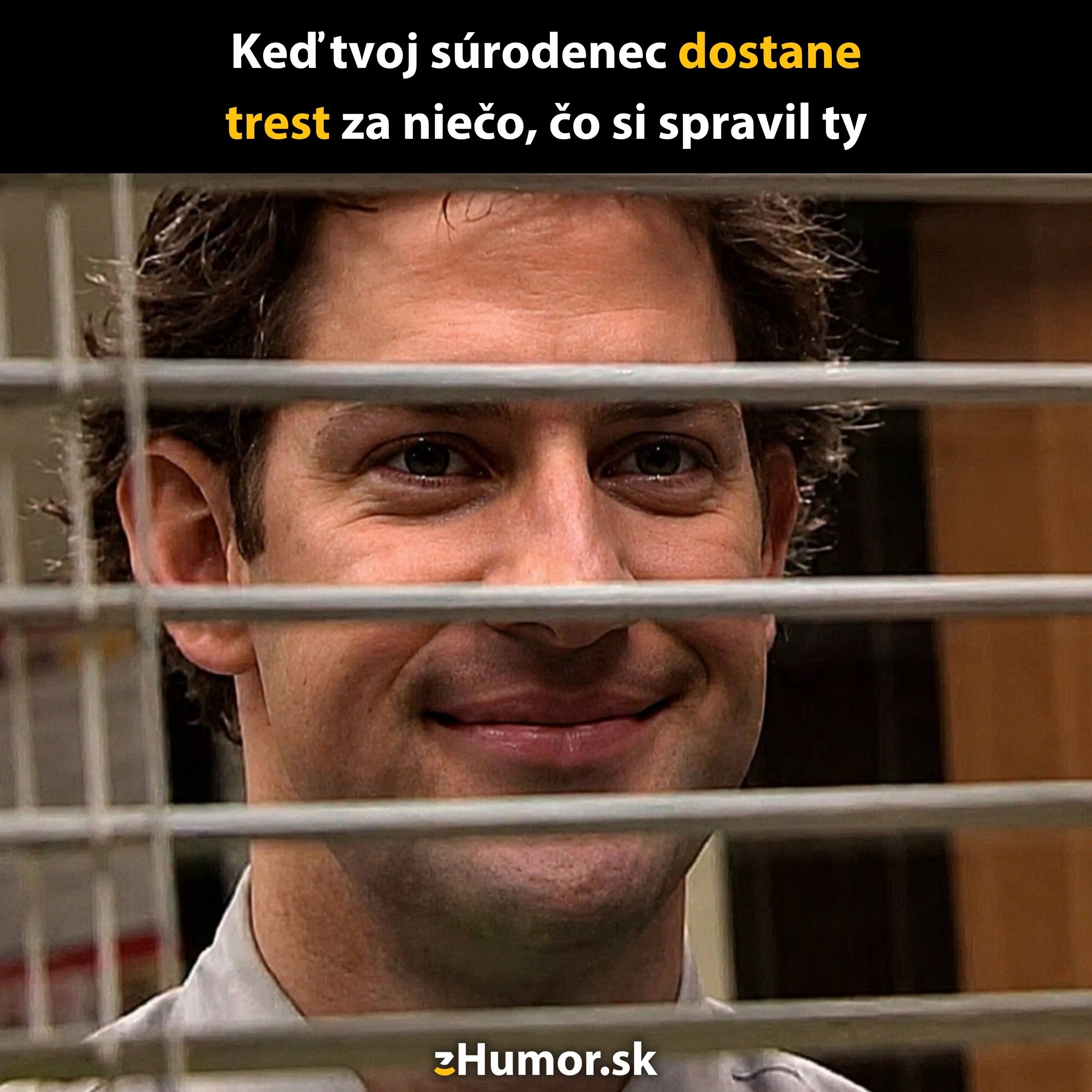 Muž sa usmieva za žalúziami s nápisom: Keď tvoj súrodenec dostane trest za niečo, čo si spravil ty.