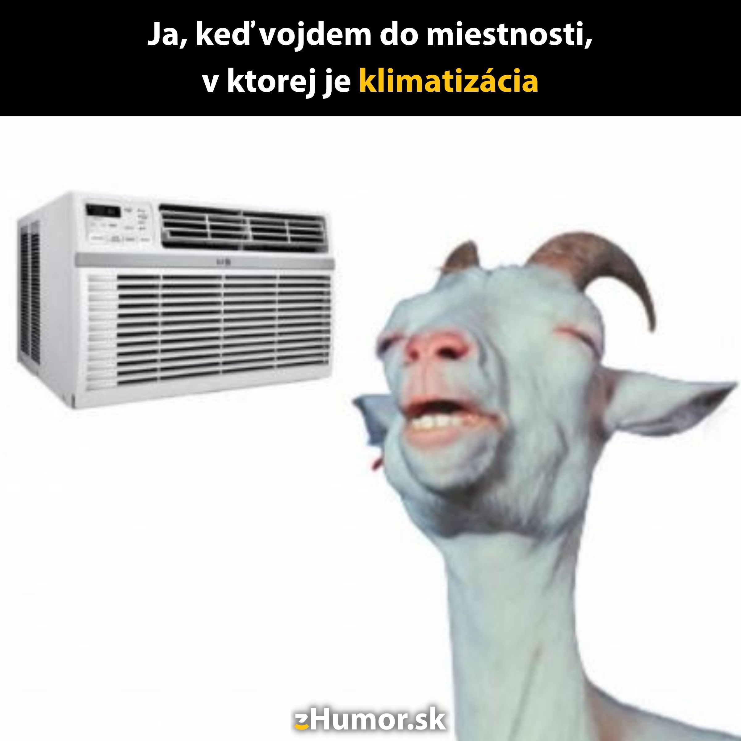 Koza si užíva chladu klimatizácie, šťastne prižmúrená, s nápisom o radosti z osvieženia.