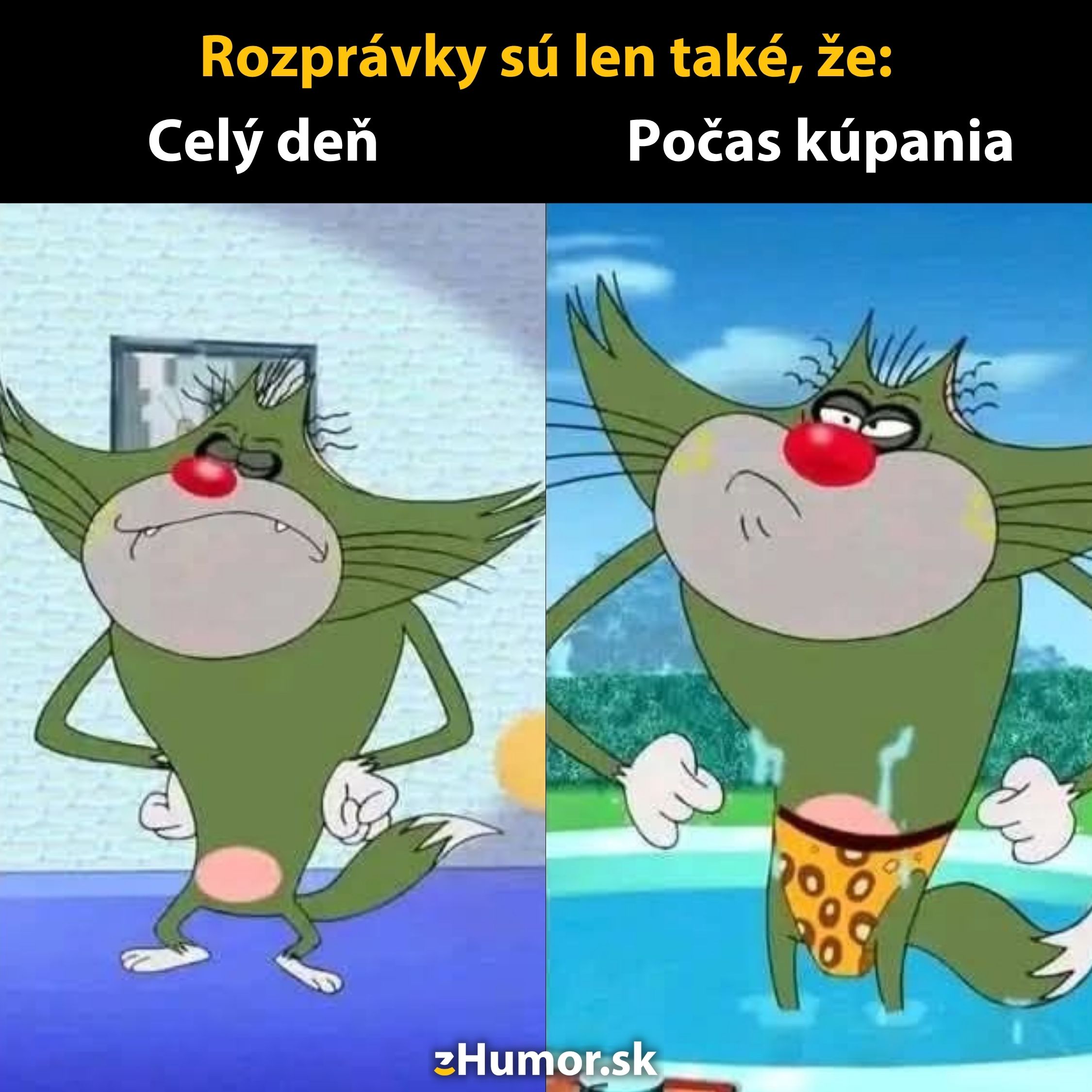 Animovaná postava mrzutého kocúra pred a počas kúpania, vtipný kontrast emócií.