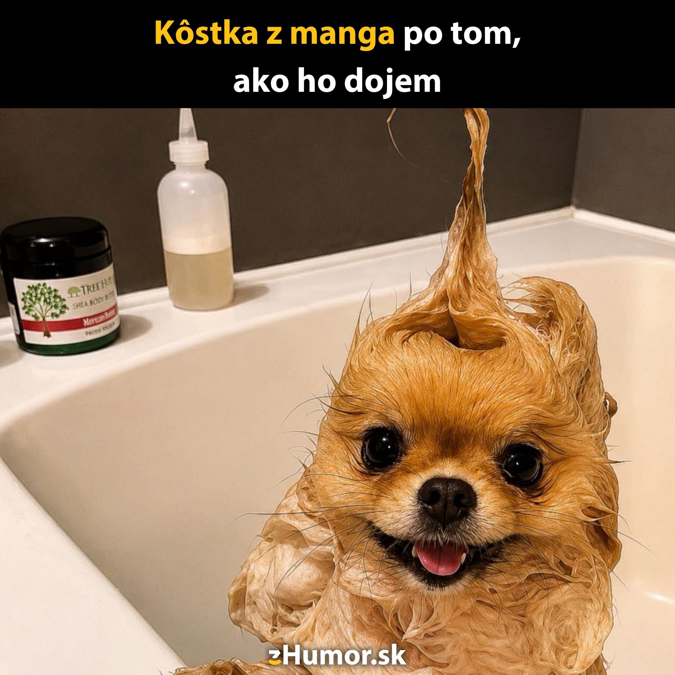 Mokré šteniatko s vtipne upravenou srsťou v kúpeľni, mydlové bubliny všade navôkol.