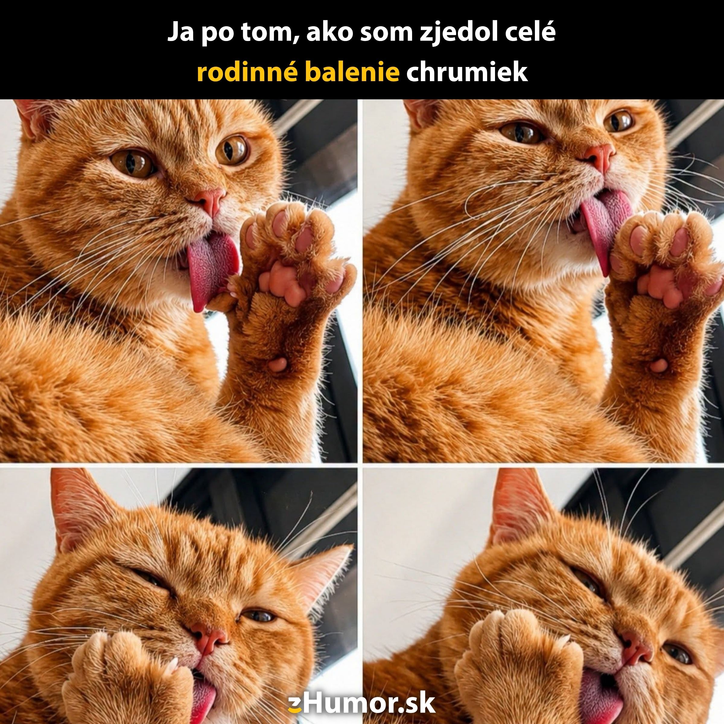 Mačka si umýva labky a tvár, pripomína ľudský pocit po prejedení. Zábavné mačacie výrazy v štyroch obrázkoch.