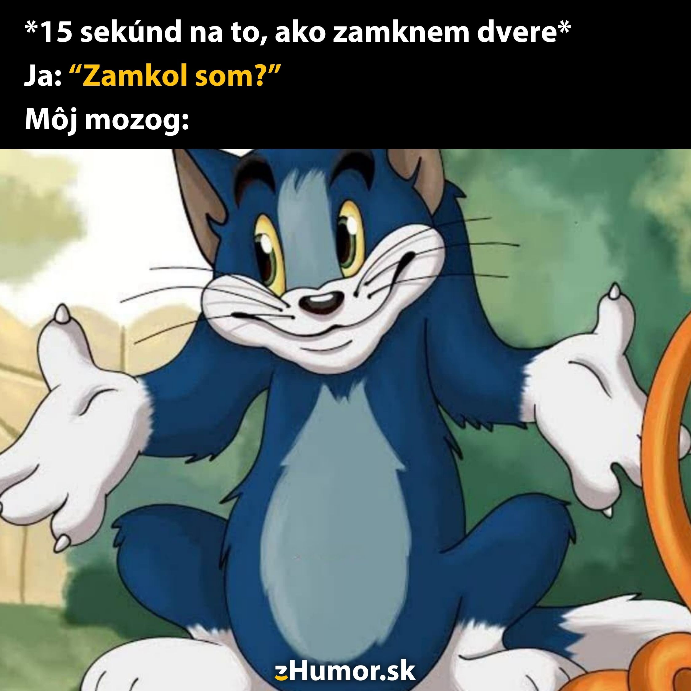 Kreslená mačka s výrazom zmätku, text: Zamkol som? - bežná dilema po odchode z domu.