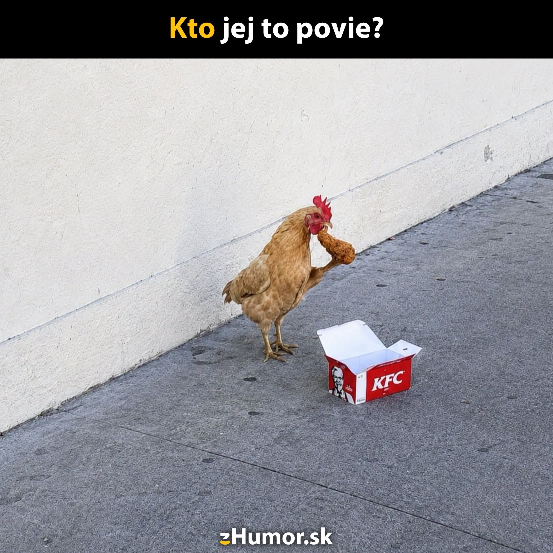 Sliepka stojí na chodníku a drží kúpiť z KFC, vedľa je otvorená krabica. Ako keby počúvala Kto jej to povie?.