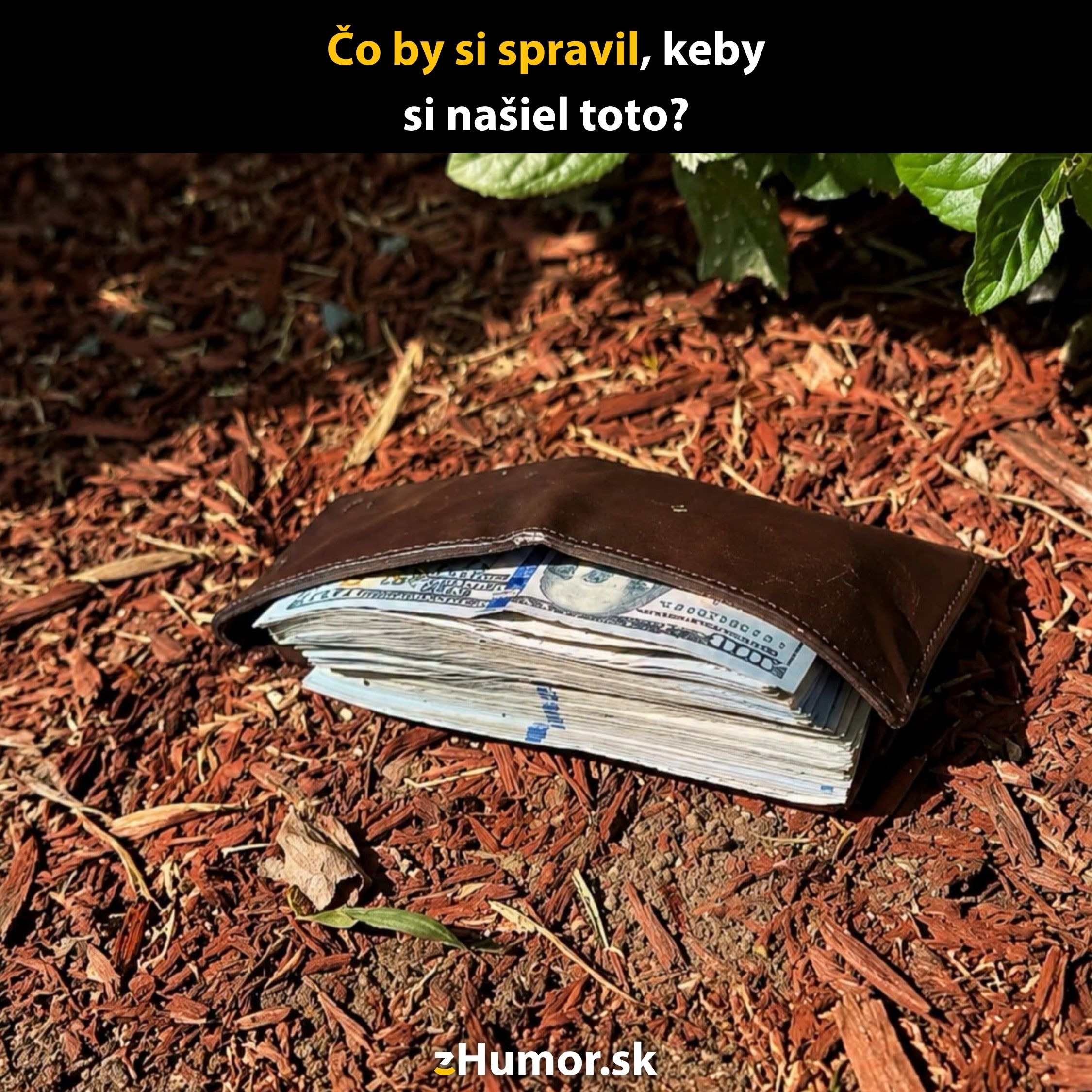 Kožená peňaženka plná peňazí ležiaca na zemi medzi listami, s otázkou, čo by si spravil, keby si ju našiel.