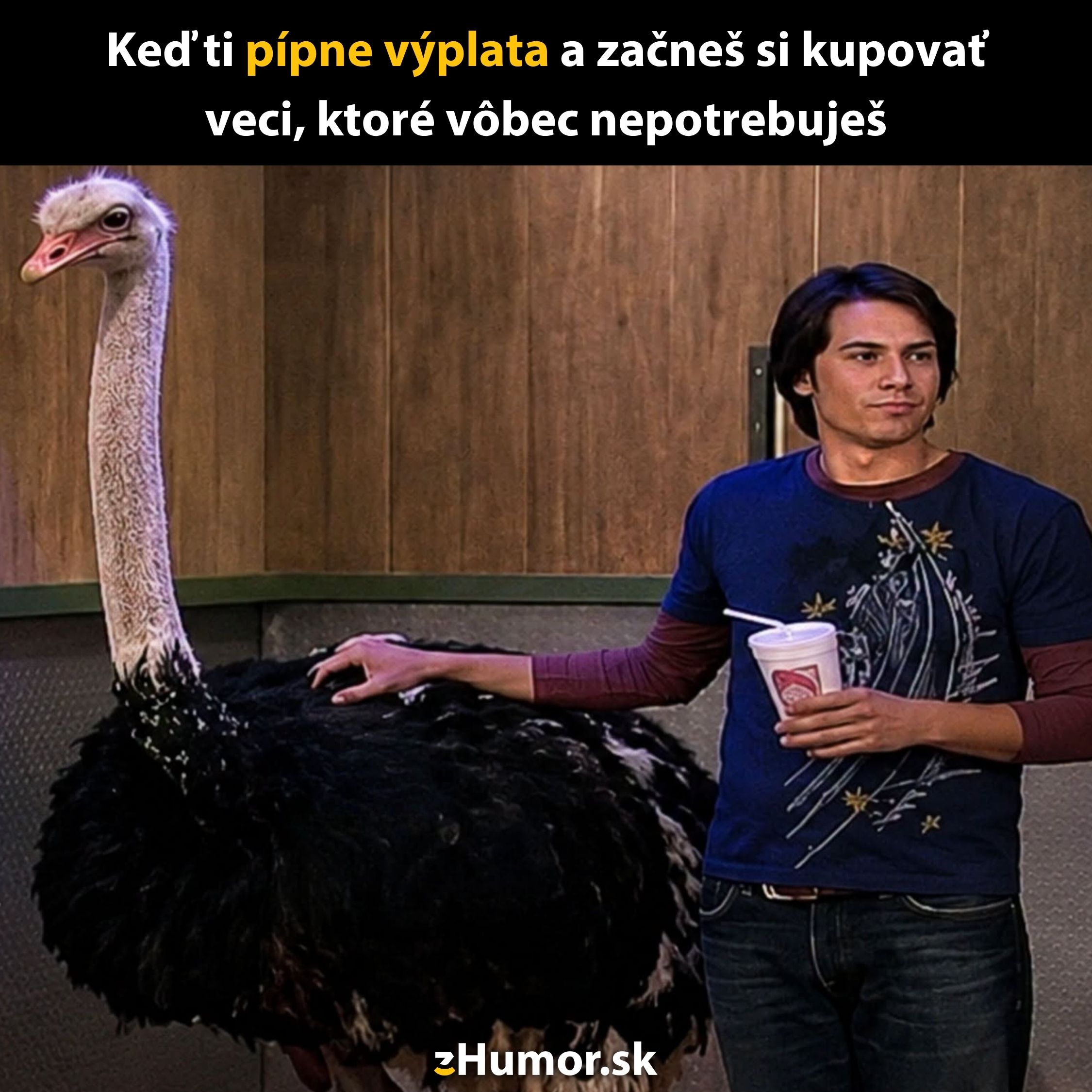 Muž s pštrosom v miestnosti, pije nápoj. Text: Keď ti príde výplata a nakupuješ zbytočnosti.