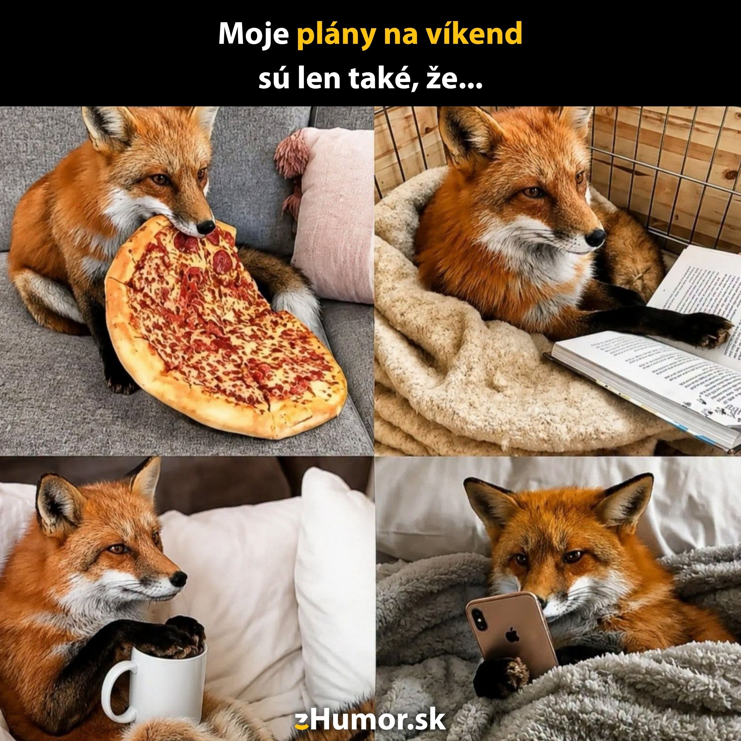 Líška relaxuje doma: papá pizzu, číta knihu, pije kávu a surfuje na telefóne. Víkendový oddychový program.