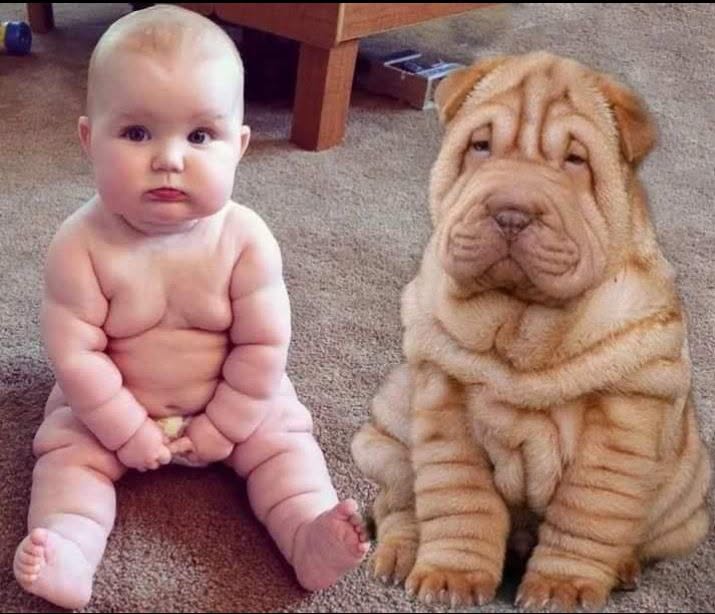 Bábätko sediace na koberci vedľa mláďaťa psa Shar Pei, obaja s tvorbami kožných záhybov.