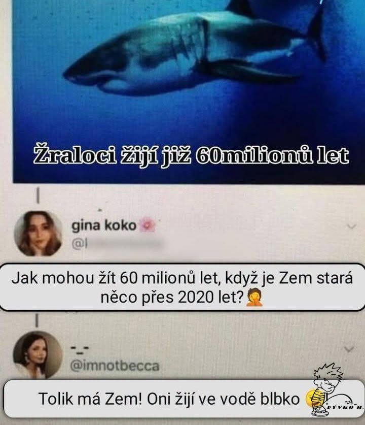 Žralok pláva v oceáne, text o ich 60 mil. ročnej histórii a komický komentár o veku Zeme a žralokoch.