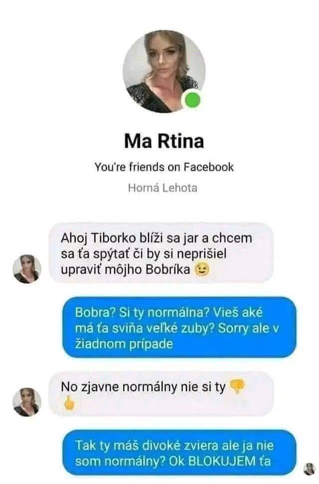 Žena na chate žiada známeho o pomoc s úpravou bobra, vzniká vtipná diskusia a nedorozumenie cez Facebook správu.
