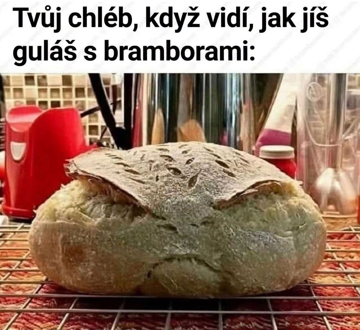 Chlieb s výrazom tváre, keď vidí, že jete guláš s zemiakmi, na kuchynskej linke.