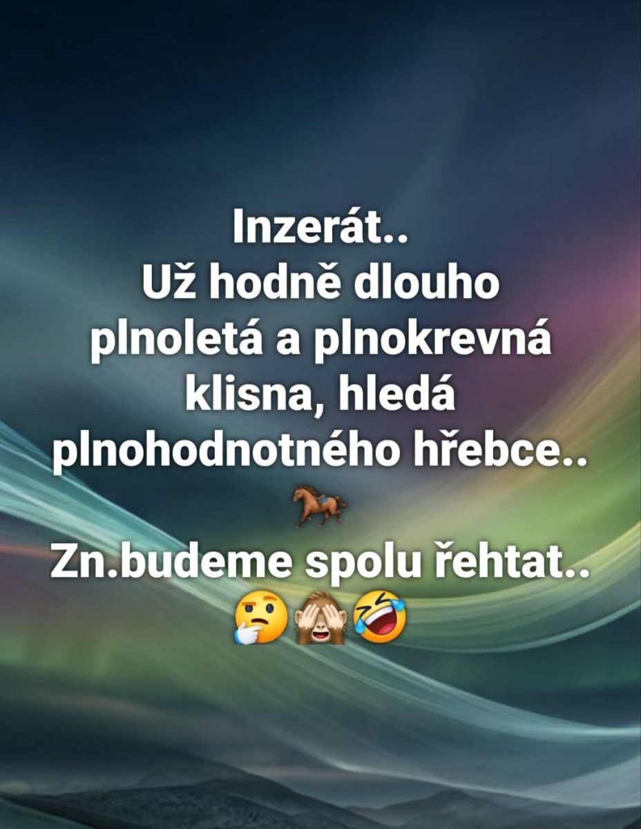 Inzerát: Klisna hľadá hodnotného žrebca na spoločné rehotanie. Emojis: kôň, premýšľanie, smiech.