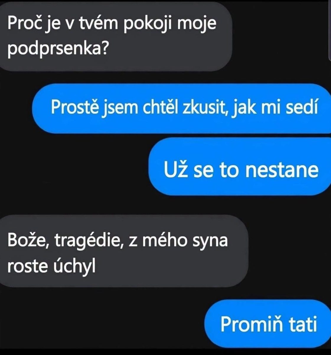 Rodinná chatová konverzácia o podprsenke a humorné nedorozumenie medzi otcom a synom.