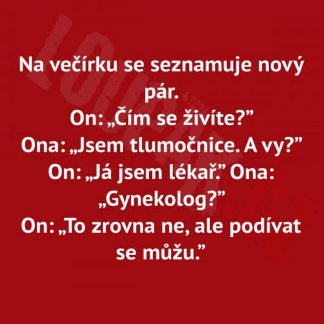 Nový pár na večierku: Ona je tlmočníčka, on lekár. Vtipný rozhovor o gynekológii rozveselí atmosféru.