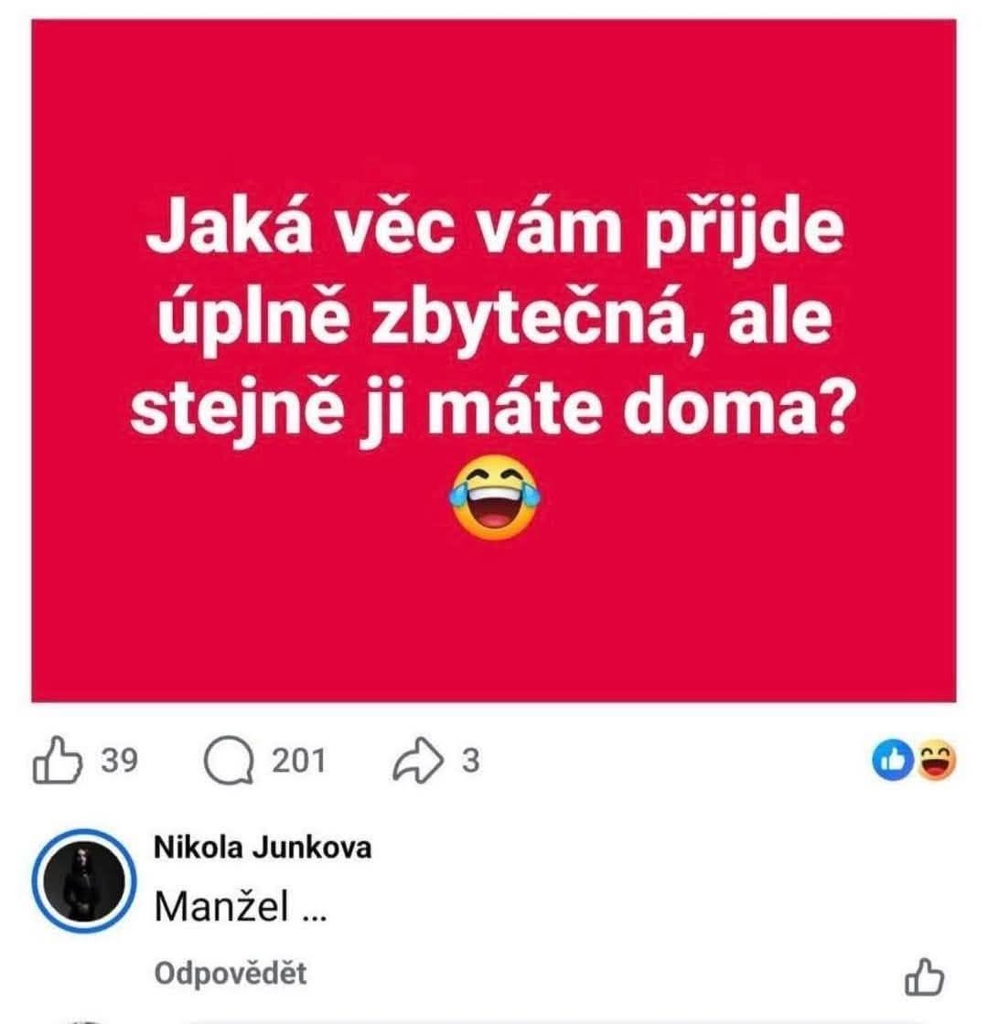 Vtipná otázka na sociálnej sieti: Čo je doma zbytočné? Komentár: Manžel. 😂